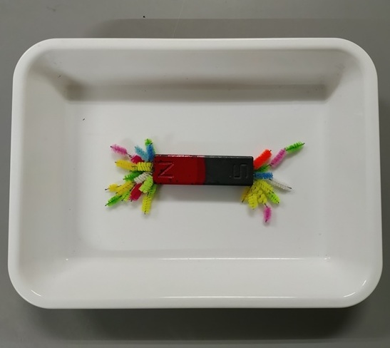 小１小２理科実験