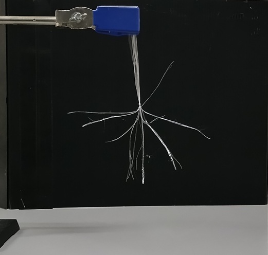 小３小４理科実験